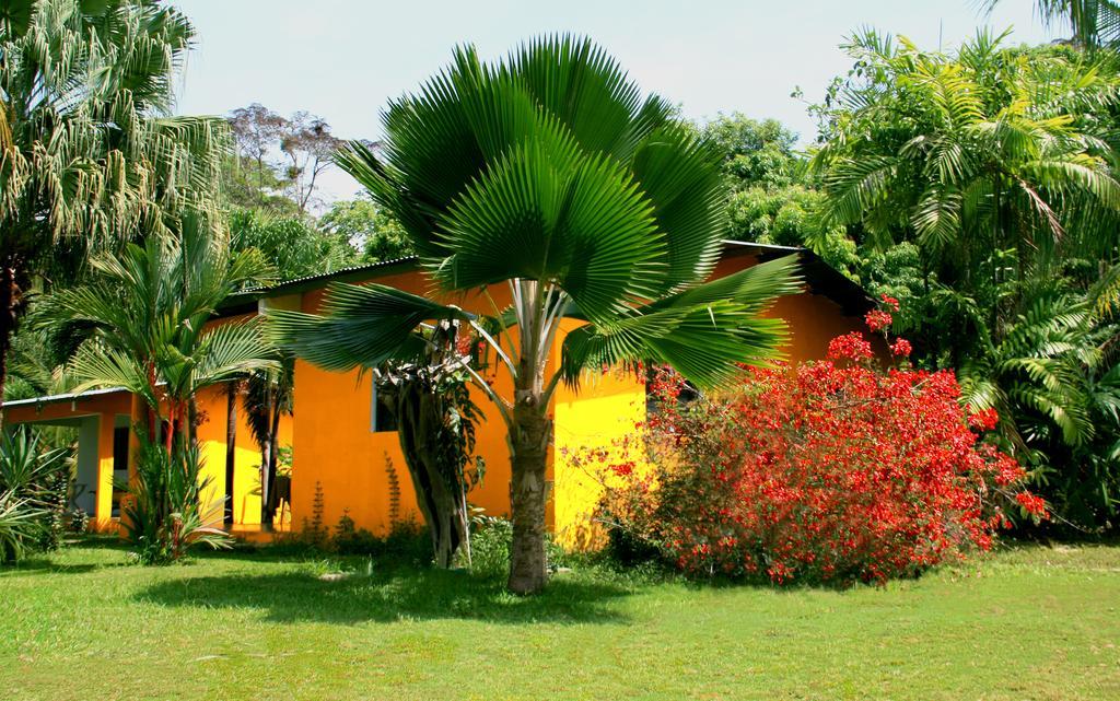 El Ranchito Surfcamp Hotel Pedregal Ngoại thất bức ảnh