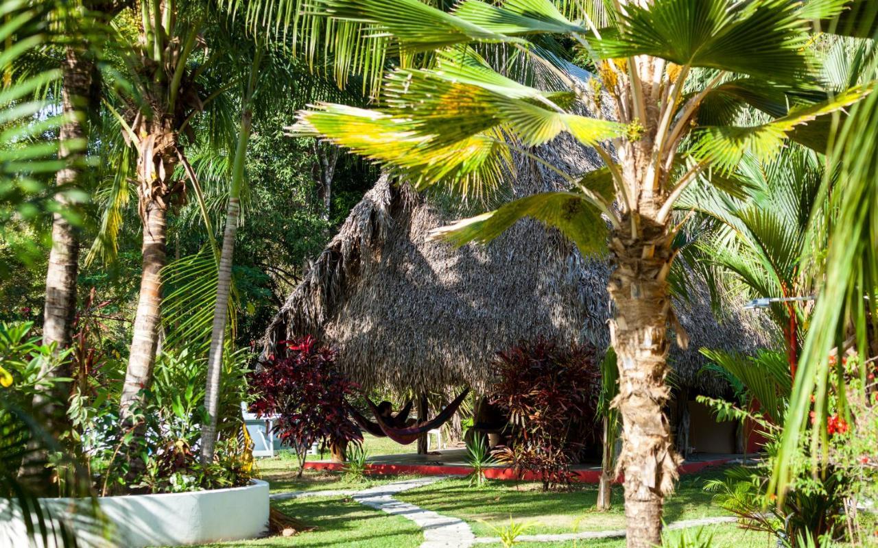 El Ranchito Surfcamp Hotel Pedregal Ngoại thất bức ảnh